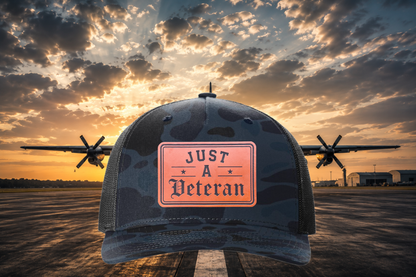 Just a Veteran