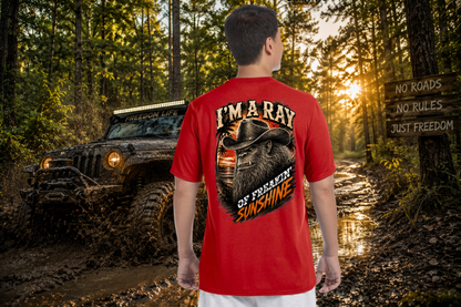 Ray of SunShine